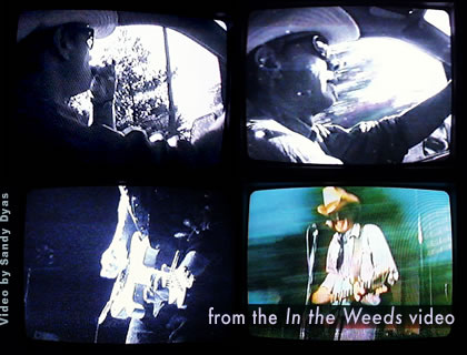 In The Weeds video stills